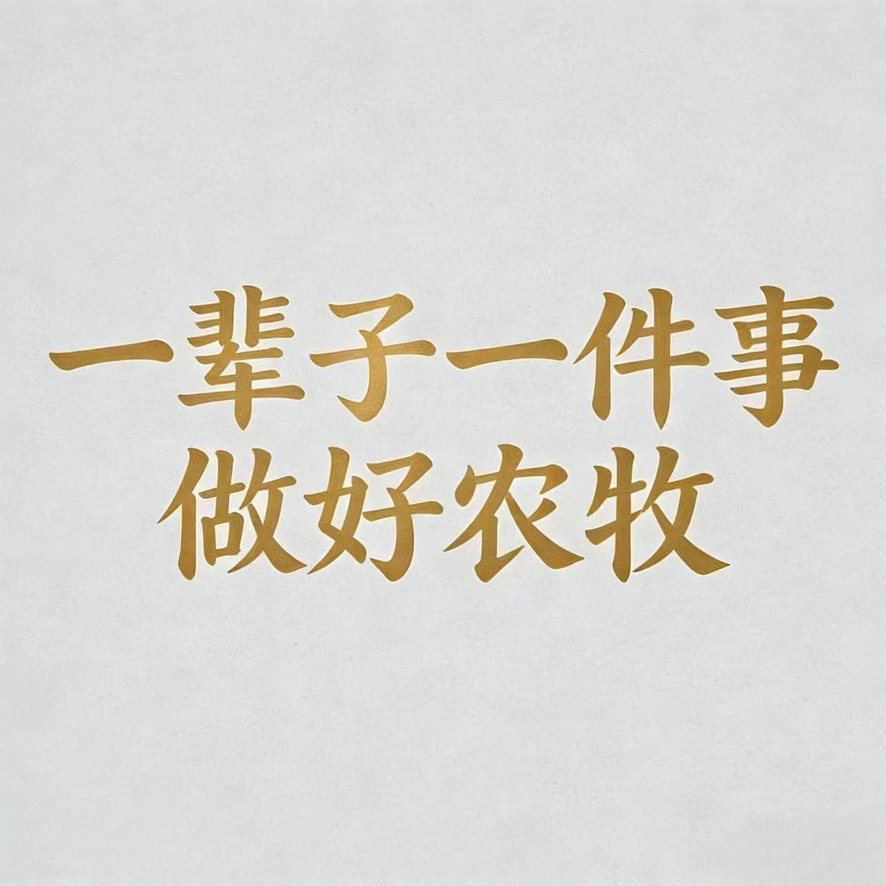 品牌理念