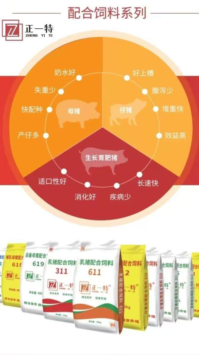 正一特产品