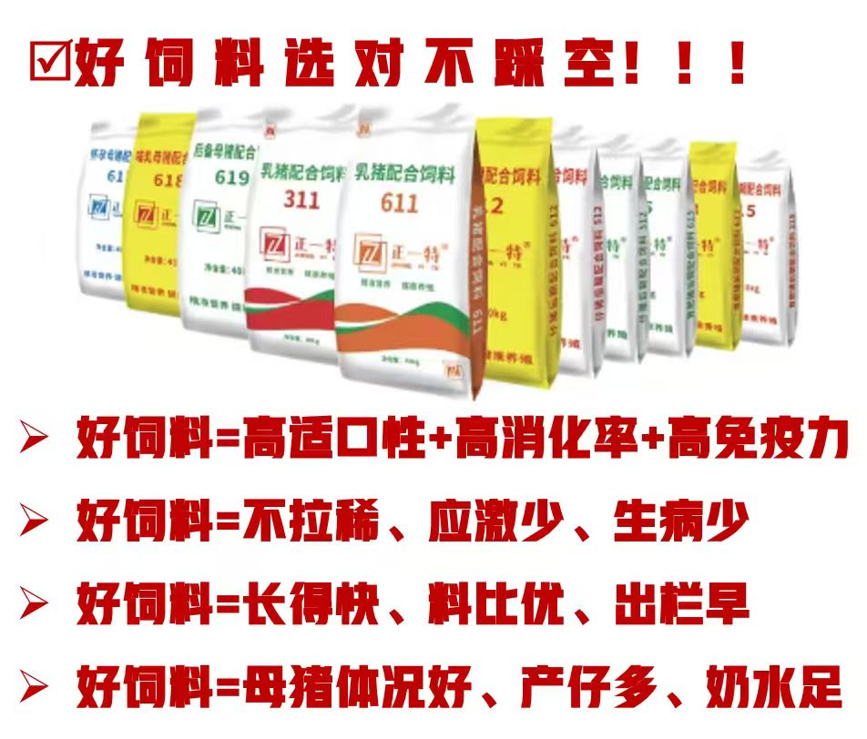 正一特产品