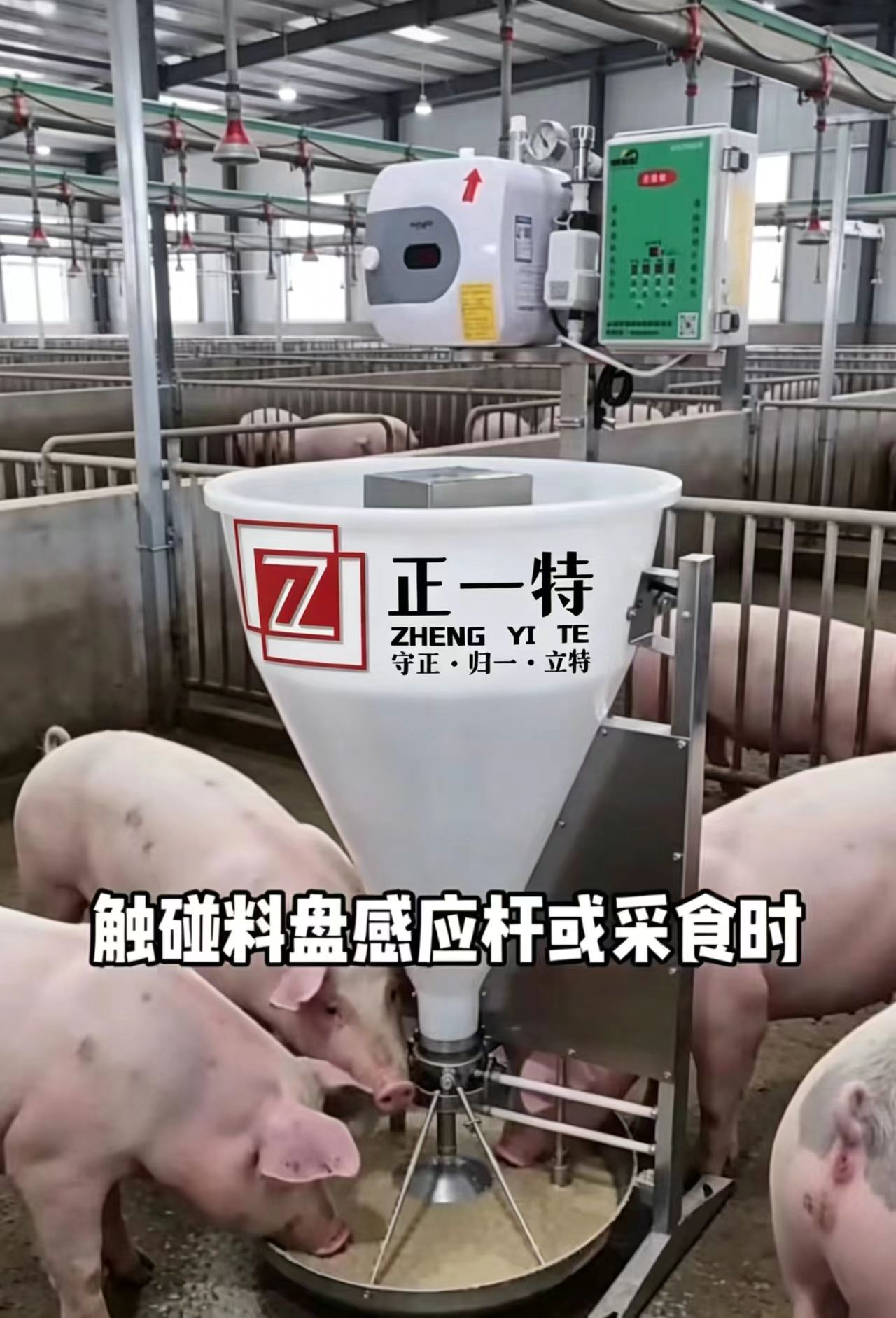 核心科技展示