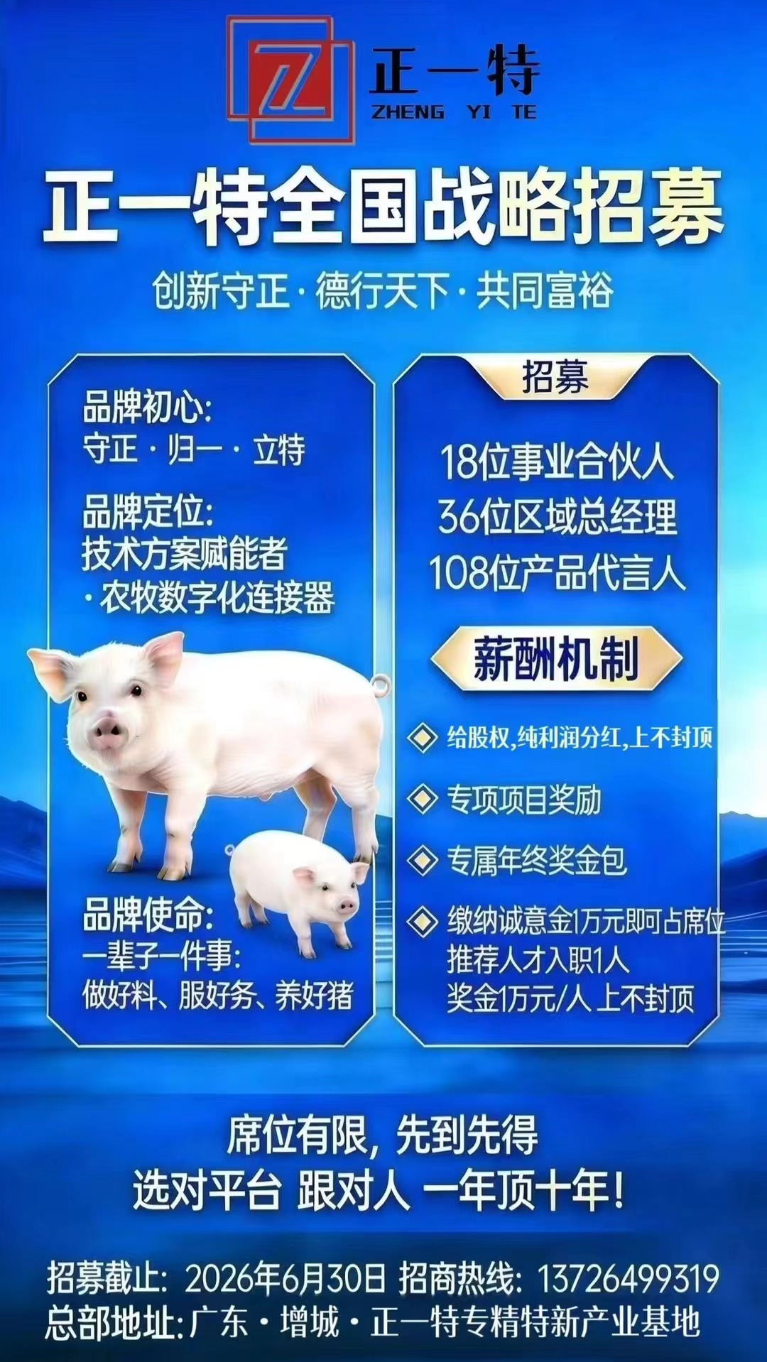 正一特全国战略招募