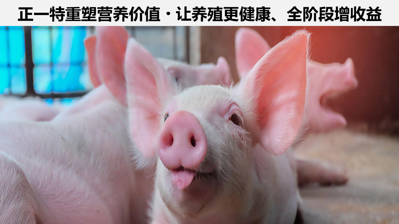 品牌初心