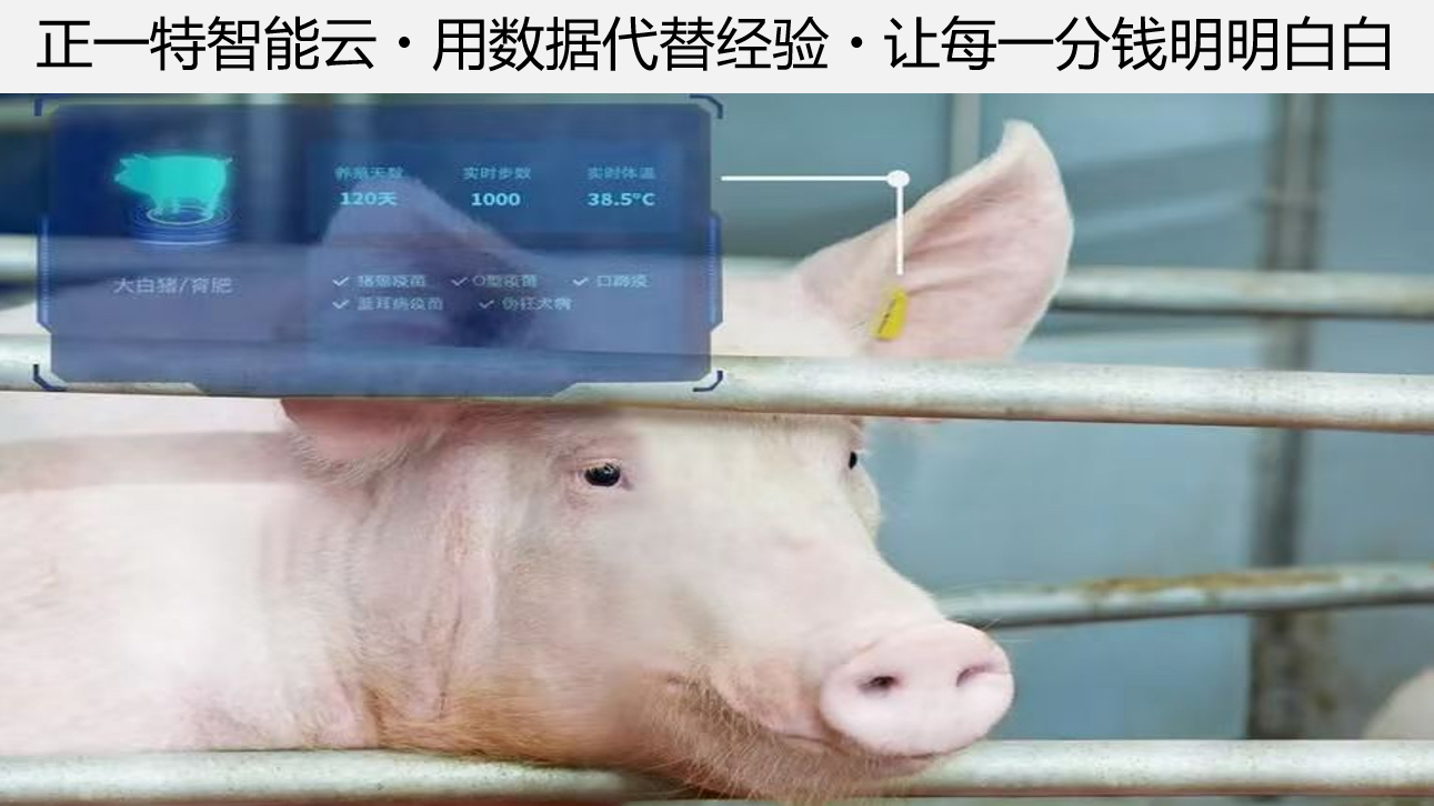 智慧云模式